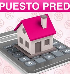 impuesto predial